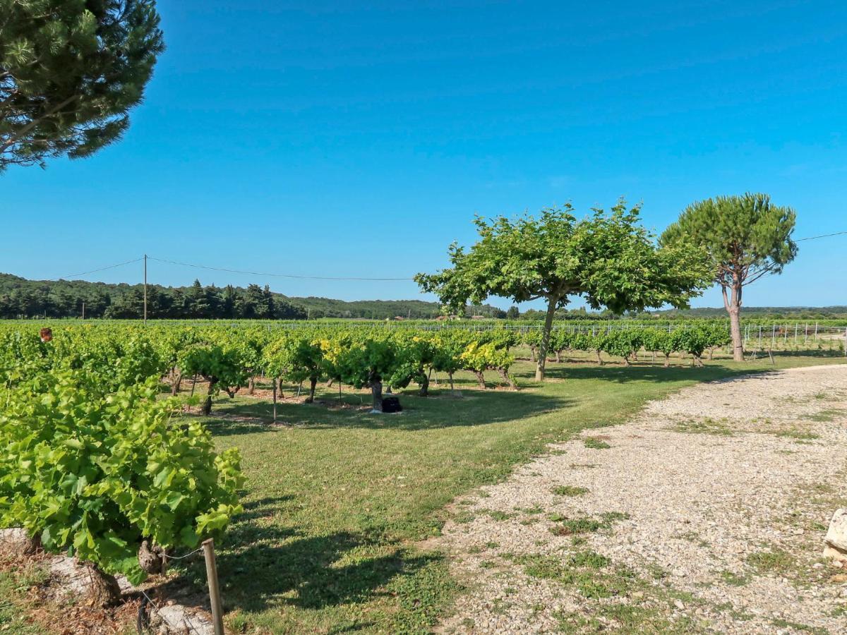 Holiday Home La Cardeline - GRG200 Grillon Exterior foto